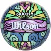 Wilson Graffiti