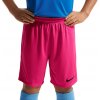 Šortky Nike Dri-FIT Park III Kids bv6865-616 Veľkosť XL (158-170 cm)