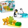 LEGO® DUPLO® 10442 Rodinky divokých zvierat: Tučniaky a levy