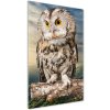 Vertikálny foto obraz akrylové sklo Sova na kopci 50x100 cm