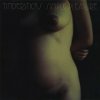 Simple Pleasure - Tindersticks LP