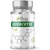 Revix QUERCETIN 90 kapsúl