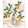 ZUTY Maľovanie podľa čísel - CITRÓNY VO VÁZE 4 (HALEY BUSH) Rámovanie: vypnuté plátno na rám, Rozmer: 40x50 cm