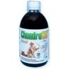 Chondrocat biosol - 500ml obsahuje komplex biologicky aktívnych látok pozitívne ovplyvňujúcich regeneračné procesy v kĺbových, šľachových a väzivových tkanivách a zvyšujúcich kĺbovú pohyblivosť