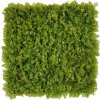 KH Panel umelý lišajník NL (50x50cm) zelený