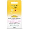 WELEDA All-in-one NECHTÍKOVÝ balzam 25 g