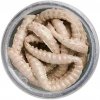 55ks - Červy Berkley PowerBait Power Honey Worm 2,5cm Natural so šupinami