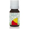 HANUS Ylang ylang silica 5 ml