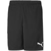Puma teamRISE Training Shorts | 4063697199941 | Čierna | S