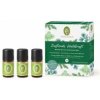 Darčekový aroma set - Sila lesa – Primavera Objem: 3 x 5 ml