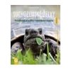 Suchozemské želvy Svědkové pravěku v domácím teráriu - Wilke Hartmut