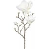 Dekorácia magnólia srienistá 63 cm biela