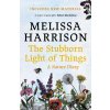 Stubborn Light of Things
