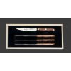 Giesser Exkluzivní edice Premium Cut Thuja sada 4 steakových nožů délka ostří 12 cm GI 1950/12 4 TOL