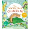 Woolly Bear Caterpillar