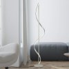 Q-Smart-Home Paul Neuhaus Q-Swing stojacia LED lampa, oceľ - 438-55