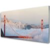 Obraz plexi Mosty architektúra 100x50 cm