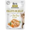 Brit Care Cat Fillets in Jelly Fine Trout & Cod 85 g