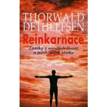 Reinkarnace - Thorwald Dethlefsen