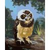 zuty Zuty - Maľovanie Podľa Čísel - Sova Sediaca Na Kláde (D. Rusty Rust), 80X100 Cm, Plátno (8596530184584)
