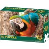 Lamps 3D puzzle Papagáj 100 ks