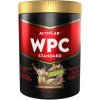 Activlab WPC Standard srvátkový proteínový koncentrát, Dubajská čokoláda - 500 g