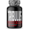 Tribulus Hardcore 100 tabl. FitBoom