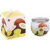 ARÔME Coconut Lime 90 g
