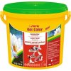 Sera Koi Color Mini 3800 ml