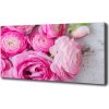 Foto obraz na plátne do obývačky Divoké ruže 100x50 cm