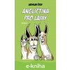 E-kniha Angličtina pro lamy - Ladislav Čech