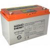 GOOWEI ENERGY DEEP CYCLE (GEL) batéria GOOWEI ENERGY OTD100, 100Ah, 12V