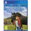Windstorm: Start of a Great Friendship