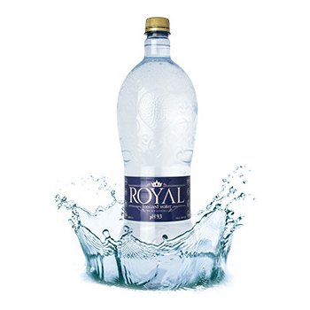 RoyalWater IONIZED WATER 12 x 0,5 l