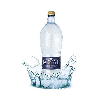 RoyalWater IONIZED WATER 12 x 0,5 l