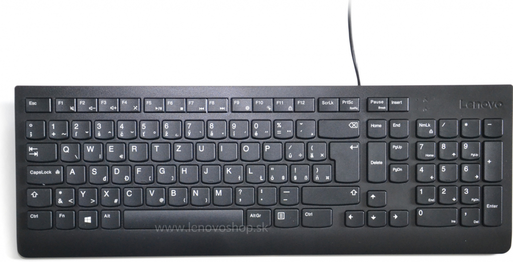 Lenovo Essential Wired Keyboard 4Y41C68673