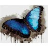 Zuty – Maľovanie Podľa Čísel – Modro-čierny Motýľ, 40 × 50 cm, Plátno 8596530139409