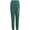 Pants adidas Bluv Q3 Pant Jr. IA1553 (128863) Black/Green 176 cm
