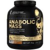 Kevin Levrone Anabolic Mass 3000 g vanilka