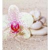 DIMEX fototapeta Orchidea v piesku MS-3-0119 - 225 x 250 cm (150g VLIES - LEPIDLO ZADARMO)