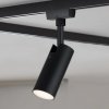 Paulmann URail LED spot Tubo black 3 000 K - 96917