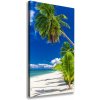 Vertikálny foto obraz na plátne Tropická pláž 50x100 cm