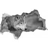Diera 3D fototapeta na stenu Šedý vlk 95x73 cm
