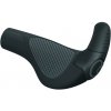 ERGON GP2 Evo -L gripy