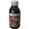 Starlife Echinacea Star sirup s výťažkom z echinacei pre zvýšenie obranyschopnosti organizmu 120 ml