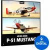 BOOM Library P-51 Mustang (Digitálny produkt)
