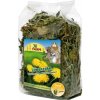 Grainless Snack PLUS kamilka a púpava100 g JR Farm