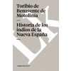 Historia de los indios de la Nueva Espana (Toribio De Benavente De Motolinia)(Brožovaná)