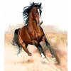 Gaira® Malovanie podľa čísel Bežiaci kôň M1182