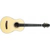 Dowina 2022 BVE Cocobolo Master Series Parlor